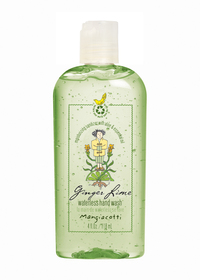 Ginger Lime Waterless Hand Wash